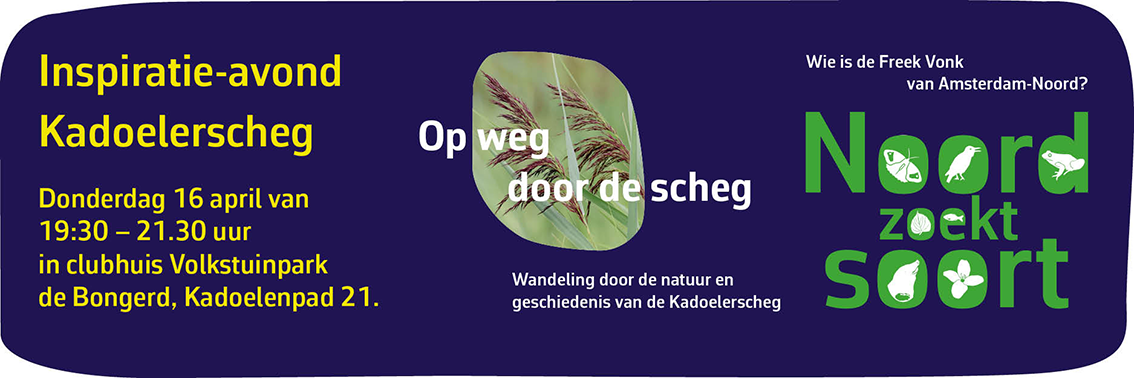 header inspiratie-avond