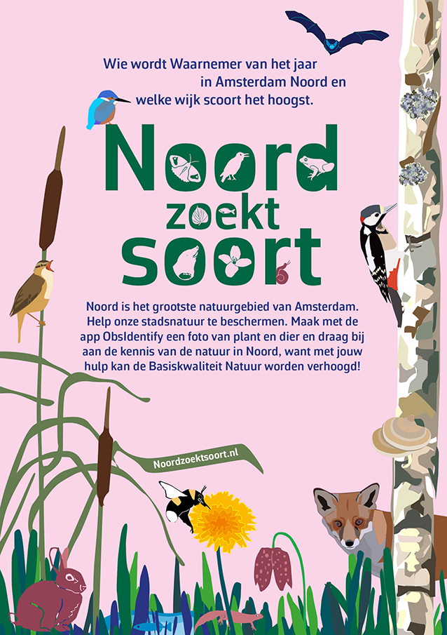 flyer zijstrook