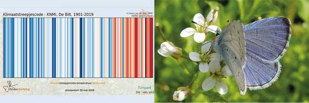 vlinders en klimaatverandering