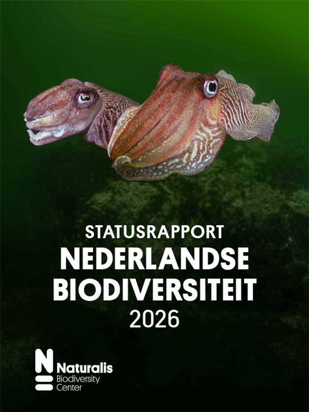 statusrapport 2026