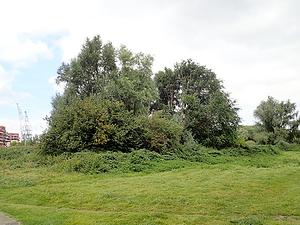 Serie-4-02.jpg