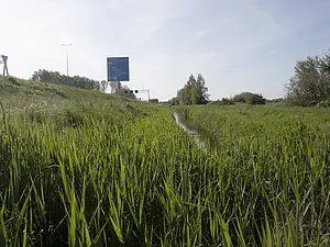 K-scheg-06-A10-2024_05_11.webp