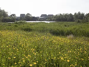 onderzoek-aanbevelingen-kadoelerbreek.webp