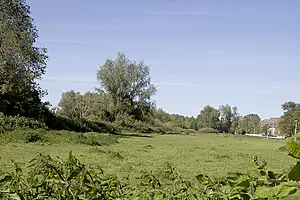 Vikingpad-Nachtegaal.webp