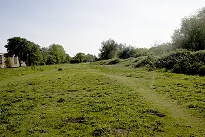Kadoelerduin - grasvlakte